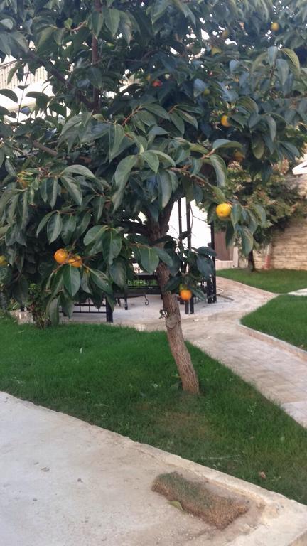 Villa Jurnalist Varna Dış mekan fotoğraf